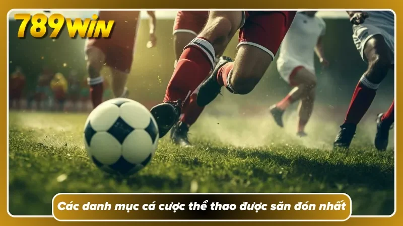 Mỗi bộ môn đều có nhịp biến động mà người mới dễ bỏ qua 
